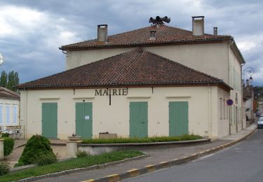 Percorso A piedi Buzet-sur-Baïse - Buzet-sur-Baïse, randonnée autour du Château - 11.1 km - Photo