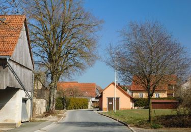 Trail On foot Hollfeld - Wonsees Erbachtal-Wanderweg - Photo