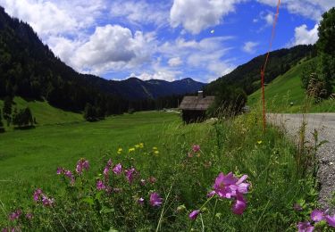 Randonnée V.T.T. Le Grand-Bornand - VTT dans la-vallee-du-bouchet - Photo