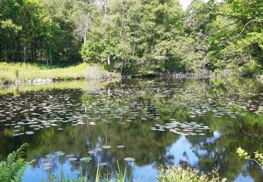 Trail Walking Zonnebeke - Ypres - Photo