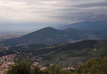 Randonnée A pied Montemurlo - Sentiero CAI 70 - Sez. Prato - Photo