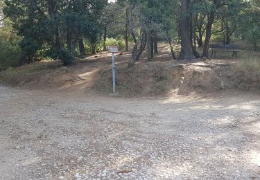 Randonnée Trail La Seyne-sur-Mer - forêt de fabregas  - Photo