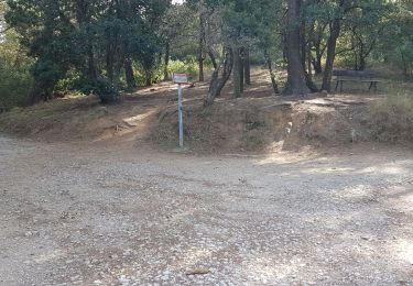 Tour Pfad La Seyne-sur-Mer - forêt de fabregas  - Photo