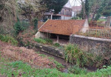 Tocht Stappen Forges-les-Bains - fortes - Photo