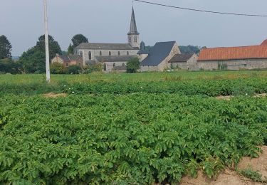 Randonnée Marche Gerpinnes - gougnies - Photo