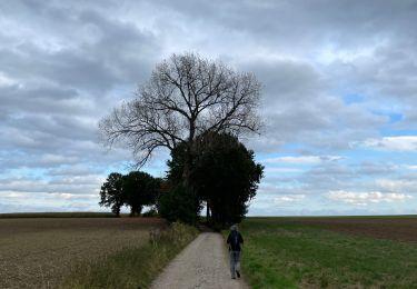 Randonnée A pied Bierbeek - Bierbeek  - Photo