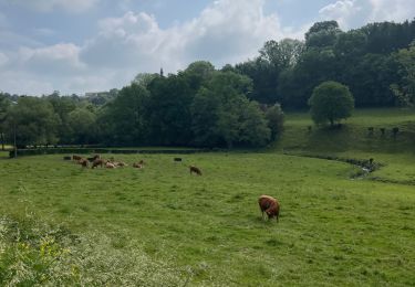 Tocht Stappen Olne - Ayneux - Photo