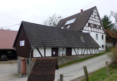 Tour Zu Fuß Heppenheim - Rundwanderweg Wald-Erlenbach 1: Igelsbach-Weg - Photo