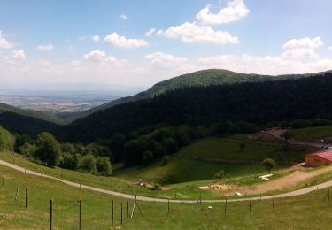 Tocht Elektrische fiets Moosch - Pélerinage à Thierenbach - Photo