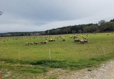 Percorso Marcia Lambesc - moulins-st esteve - Photo