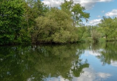 Tocht Te voet Burgkunstadt - Strössendorfer Weg/Main-Aussichts-Weg - Photo