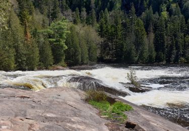 Tour Wandern Saint-Mathieu-du-Parc - Recreoforestier Chutte du Diable - Photo