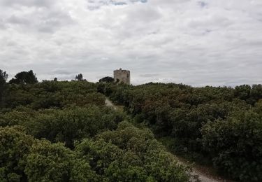 Trail Walking Le Thor - thouzon - Photo