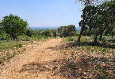 Trail Walking Montmirat - montmirat-Chapelle-grottes - Photo