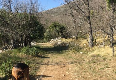 Randonnée Marche Saint-Vallier-de-Thiey - Saint vallier le col. 06.       23/03/2019 - Photo