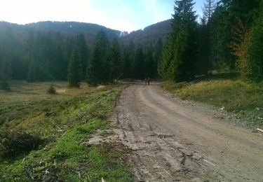 Tour Zu Fuß  - Šatorina od Kugine kuće - Photo