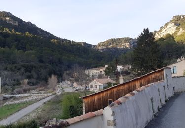 Excursión Senderismo Draguignan - Rebouillon le long de la Nartuby - Photo