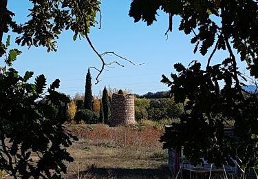 Percorso Marcia Fourques - Fourques  - Photo