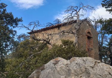 Excursión Senderismo Aups - 2024-01-26 Aups Les 2 Chapelles  - Photo