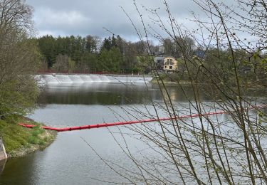 Excursión Senderismo Bütgenbach - Butgenbach - Photo