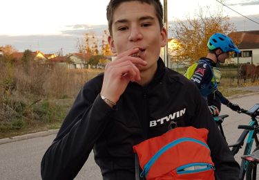 Trail Mountain bike Vitrimont - sortie vtt du 11112018 vitrimont ok - Photo