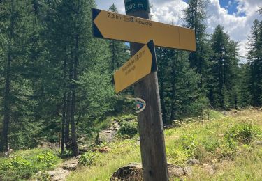 Tocht Stappen Névache - Les chalets  - Photo