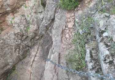 Trail Walking Roquebrune-sur-Argens - Rocher de Roquebrune arpf - Photo