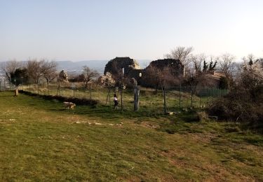 Tour Wandern Rompon - Le couvent des chèvres par le vieux Rompon - Photo