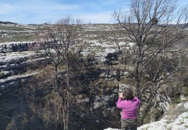 Trail Walking Caussols - calern geologia  - Photo