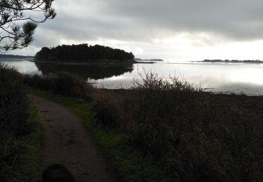 Excursión Senderismo Baden - Les 7 îles  01/01/20 . - Photo