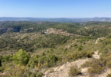 Tour Pfad Cheval-Blanc - Mayorques-Pradon-Tête ds Buisses-16082023 - Photo