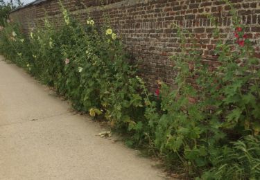 Trail Walking Villers-la-Ville - SityTrail - Mellery 0418 - Photo