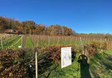 Tour Wandern Lasne - Ohain - Genval - Rixensart - Photo