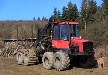 Tour Zu Fuß Finnentrop - Rundwanderweg Ostentrop A8 - Photo