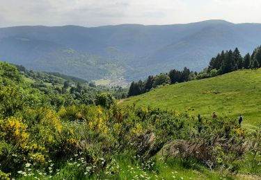 Excursión Senderismo Ventron - Col d'Oderen Grand Ventron 19km D+ 906m 20230604 - Photo
