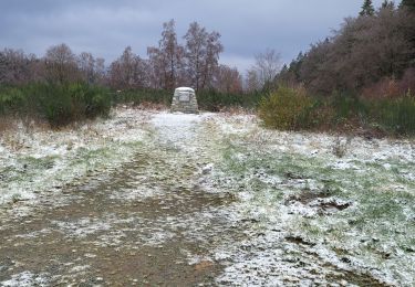 Tour Wandern Saint-Hubert - St Hubert monument du roi Albert 281123 - Photo