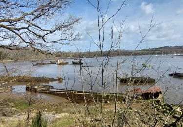 Trail Walking Lanester - PR_56_Lanester_AA_01_Circuit1b_Cimetiere-Bateaux-Kerhervy_20230314 - Photo