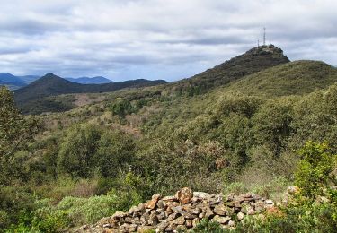 Excursión Senderismo Faugères - Les Moulins de Faugères - Pic de Tantajo - Photo