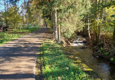 Trail Walking Stoumont - A la découverte du ruisseau du Roannay et le village de Moulin du Ruy - Photo