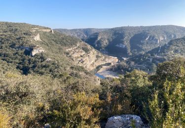 Tocht Stappen Collias - Collias - La Baume - Photo
