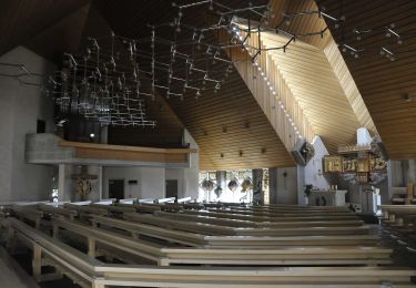 Tour Zu Fuß St. Blasien - Feldberg - Schluchsee - Photo