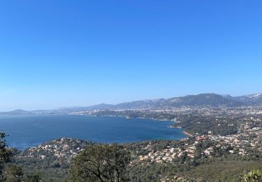 Tocht Stappen Le Pradet - Fort bayarde - Photo