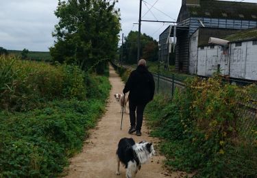 Trail Walking Welkenraedt - boucle Welky Henri Chapelle  - Photo