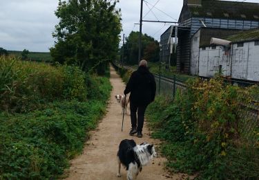 Tour Wandern Welkenrath - boucle Welky Henri Chapelle  - Photo