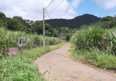 Tocht Stappen Rivière-Pilote - Boucle La Mauny via Morne Vent - Photo