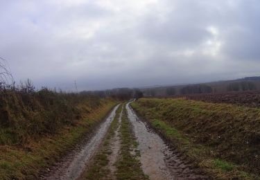 Trail Mountain bike Gerpinnes - Gerpinnes_20211211_083919 - Photo