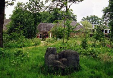 Excursión A pie Lochem - Rondje Velhorst - Photo