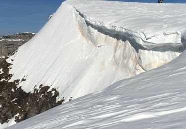 Tocht Sneeuwschoenen Bouvante - Font d’Urle - Photo