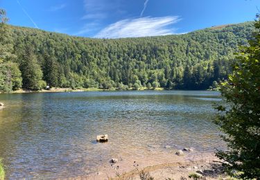 Tour Elektrofahrrad Wildenstein - La Bresse - Photo