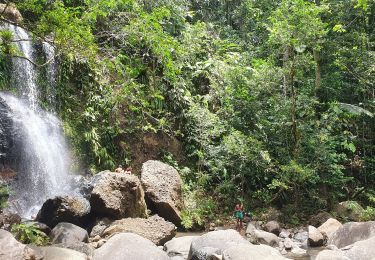 Tour Wandern Sainte-Rose - Saut des Trois Cornes, en boucle depuis les sources de Sofaia - Photo